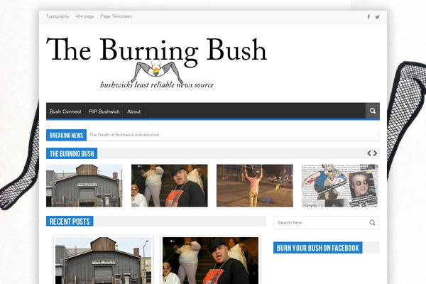 Gomag theme site design template sample