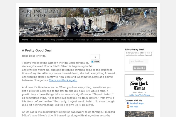 Twentytenchild theme site design template sample