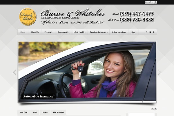 dominantwebsites theme websites examples