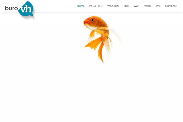 burovh.nl site used AeonBlog