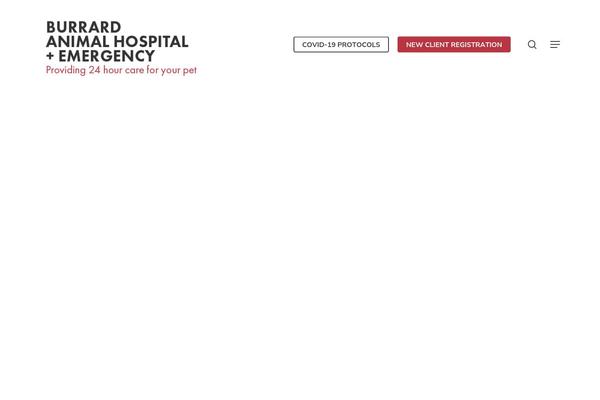 Site using Lifelearn-accessibility plugin