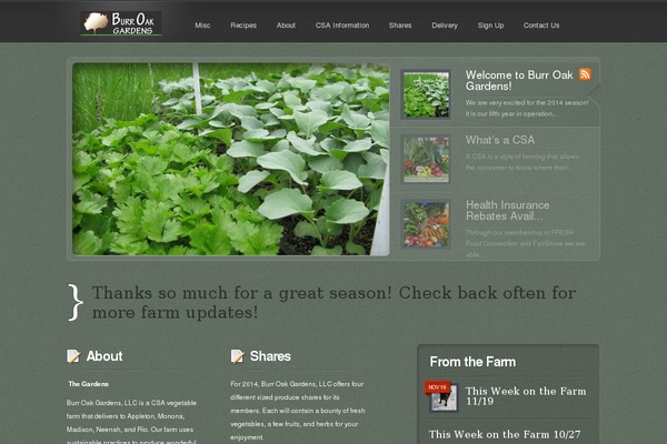 Lumin theme site design template sample