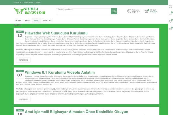 Silveray theme websites examples