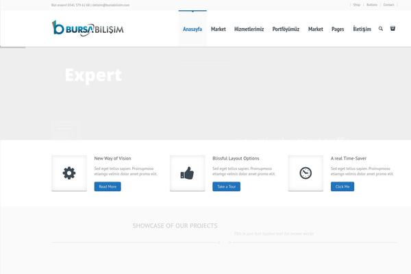 bursabilisim.com site used Lexon