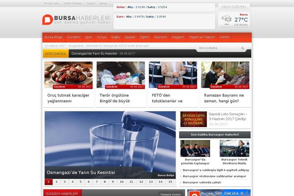 bursahaberleri.net site used Elegant-portfolio