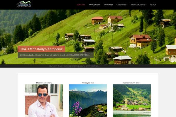 Sparkling theme site design template sample