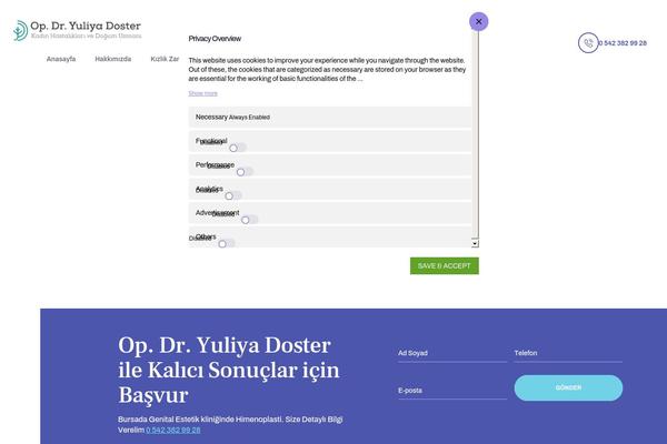 Renewal theme site design template sample