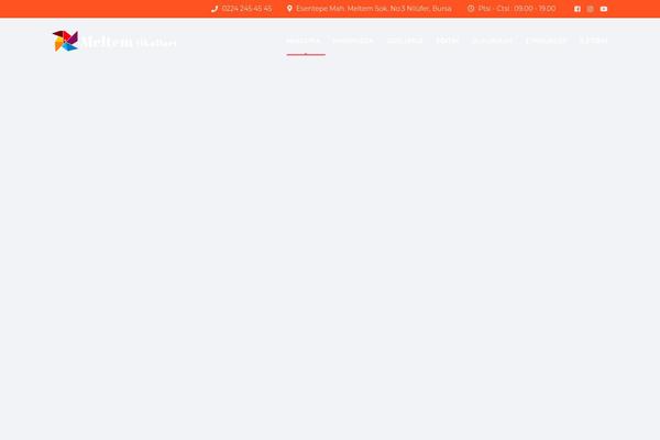 Site using Stm-post-type plugin