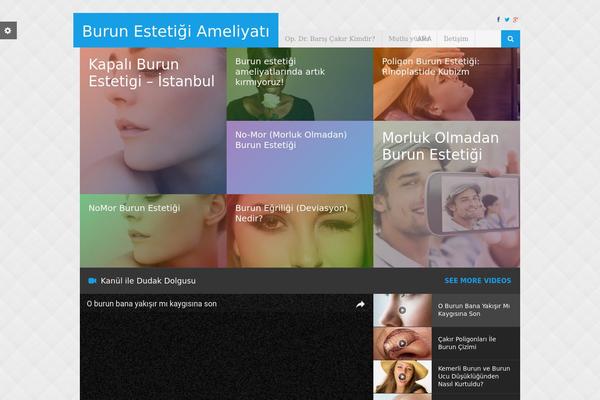 Rexus theme site design template sample