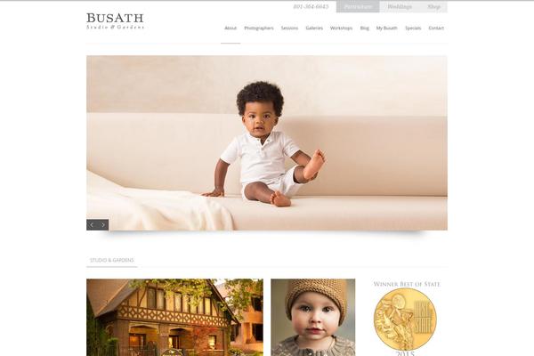 Site using Total-theme-core plugin