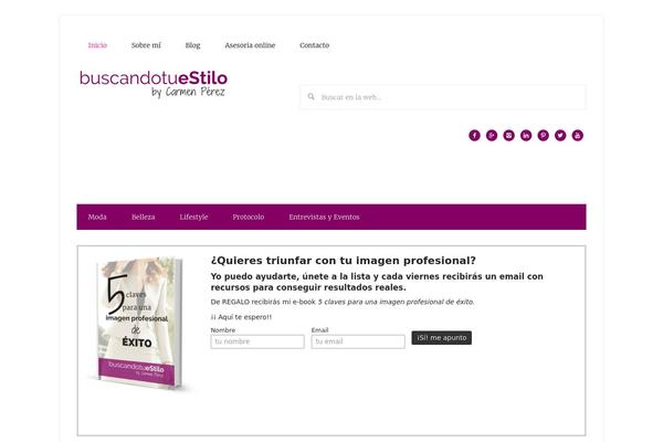 Lifestyle Pro theme site design template sample