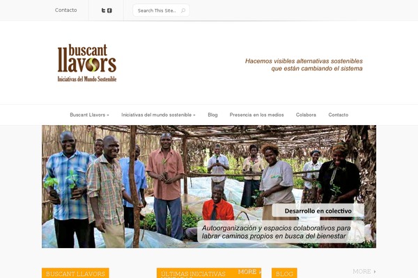Lucid theme site design template sample