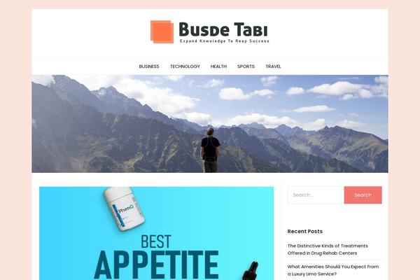 ResponsiveBlogily theme site design template sample