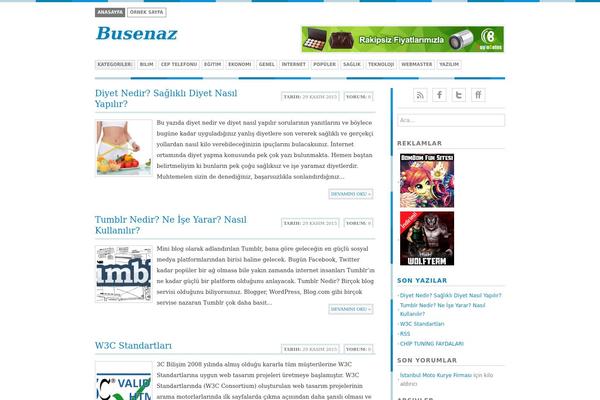 Bisade theme site design template sample