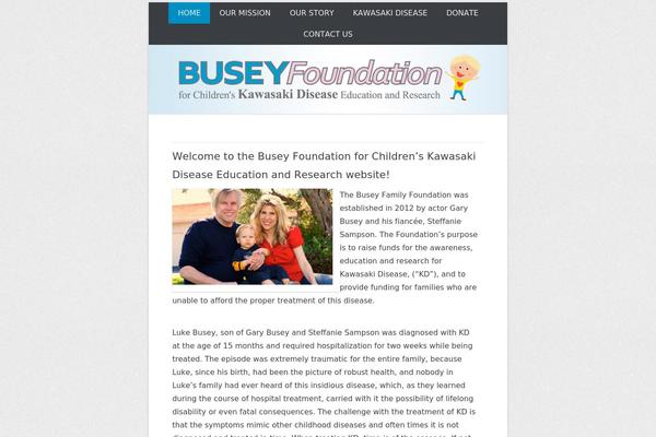 buseyfoundation.com site used Catch Everest Pro