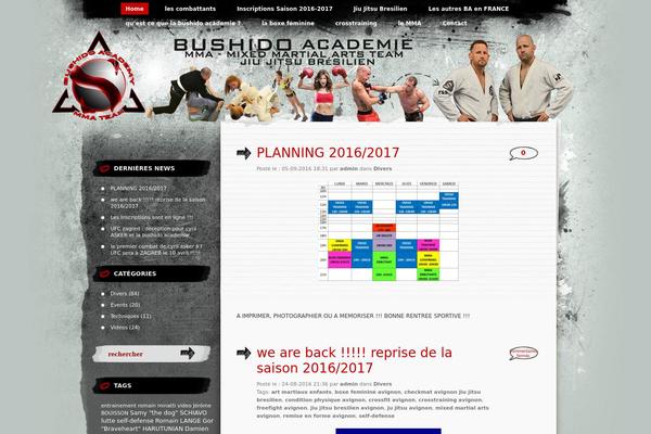 bushido-academie.fr site used Greyzed