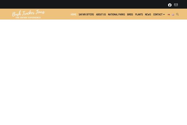 Site using Perfmatters plugin