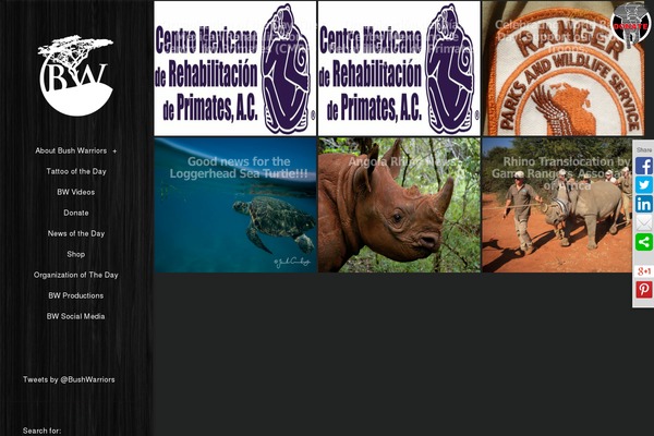 Adventurous theme site design template sample