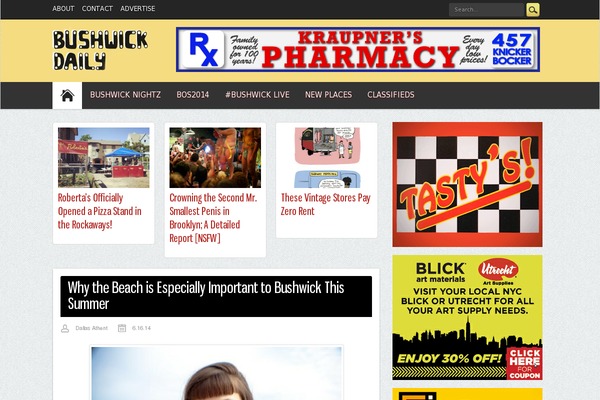 bush theme websites examples