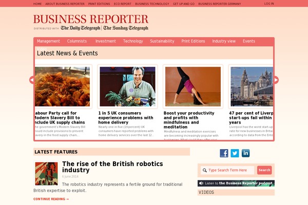 business-reporter theme websites examples