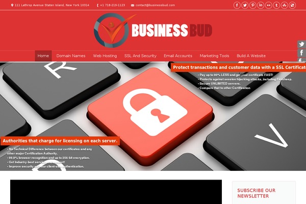 Site using All-in-one-seo-pack-pro plugin