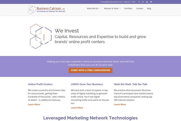 Metrolium theme site design template sample