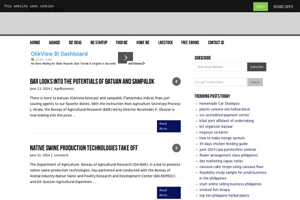 WordPress website example screenshot