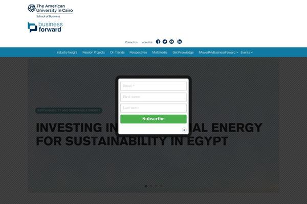 Site using MailWizz Newsletter Box plugin