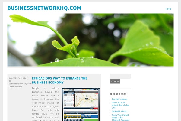businessnetworkhq.com site used Flat