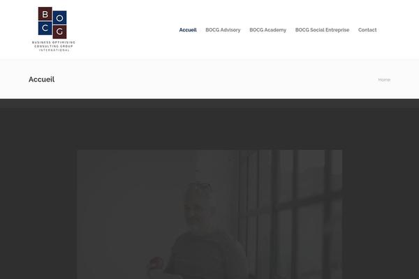 Jevelin theme site design template sample