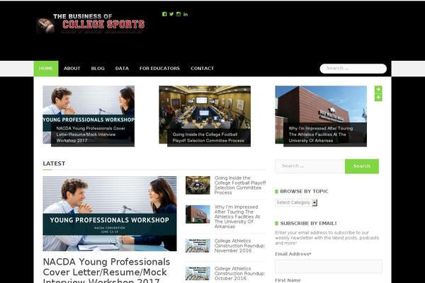 Buzzblogpro theme site design template sample