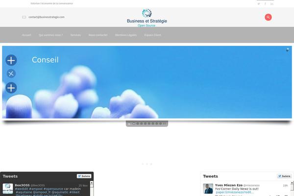 businesstrategie.com site used Sidious