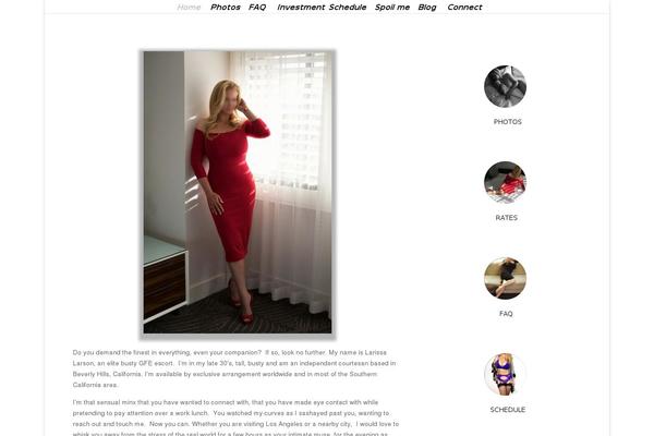 Divi theme site design template sample