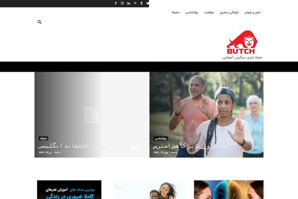 Newspaper theme site design template sample