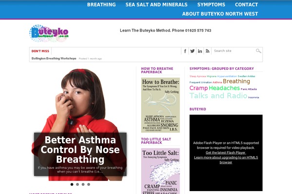 Max Mag theme site design template sample
