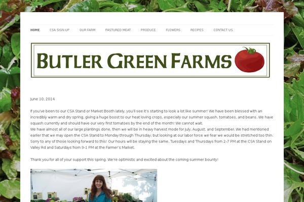 Twenty Twelve theme site design template sample