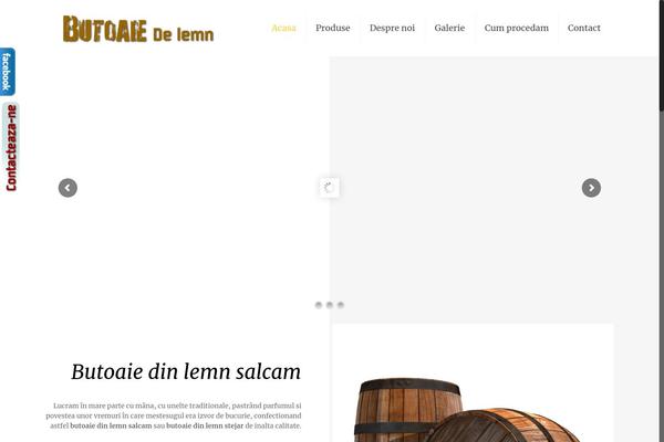Site using WP-FlyBox plugin