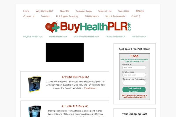 Lifestyle Pro theme site design template sample