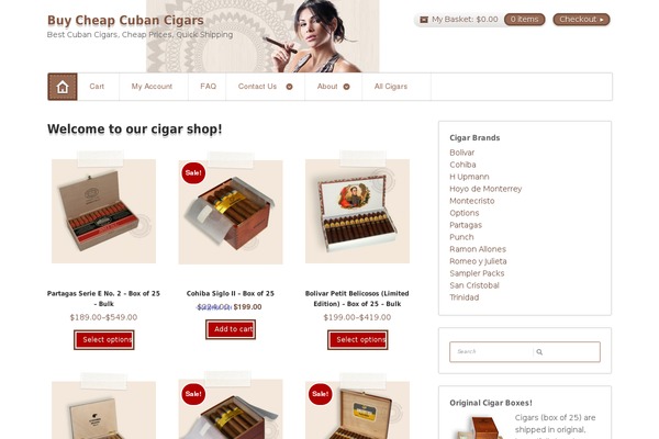 Artificer theme site design template sample