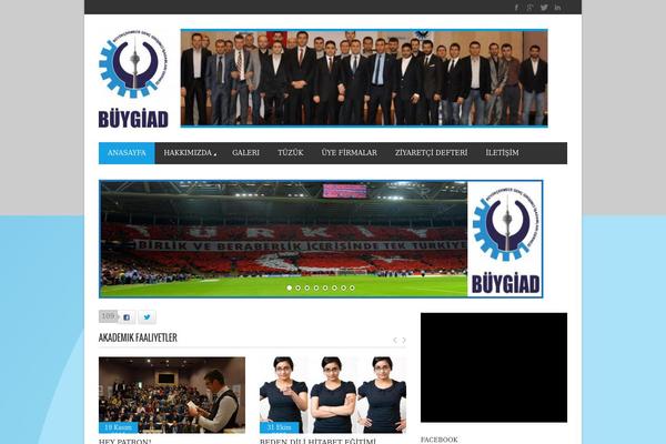Magazon theme site design template sample