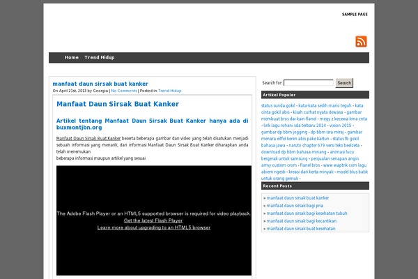 Wpsimpy-theme theme site design template sample