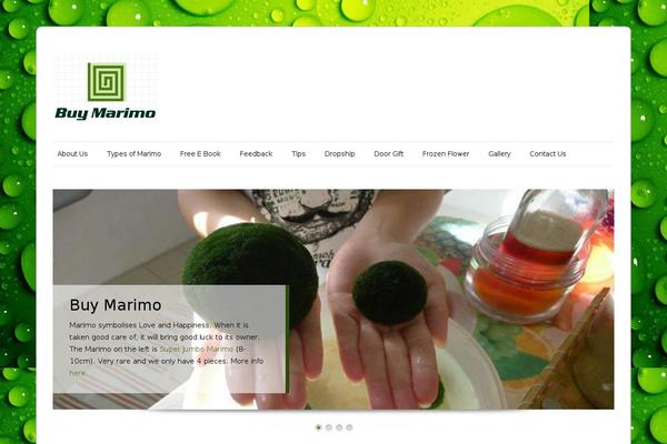 Site using Visual Form Builder plugin