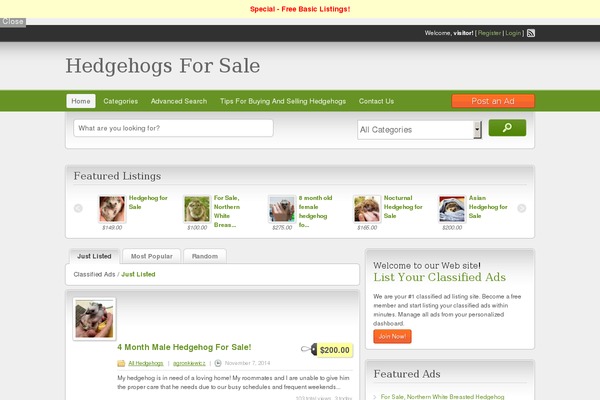 ClassiPress theme site design template sample