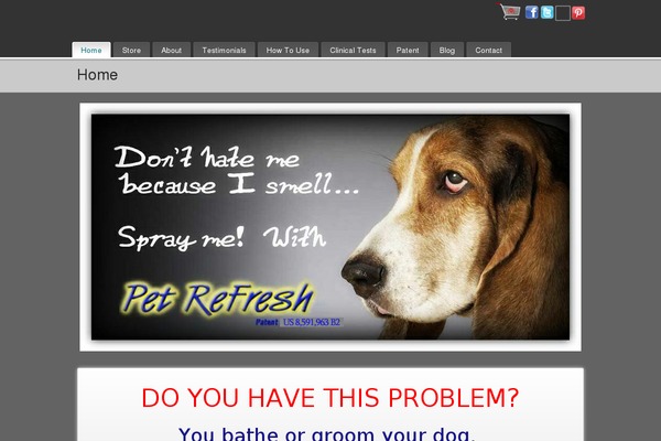 PureVISION theme site design template sample