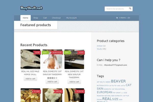 Shop theme site design template sample