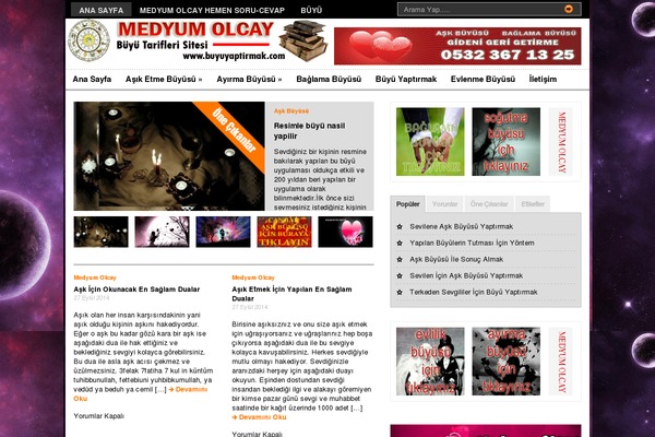 Premiumnews theme site design template sample
