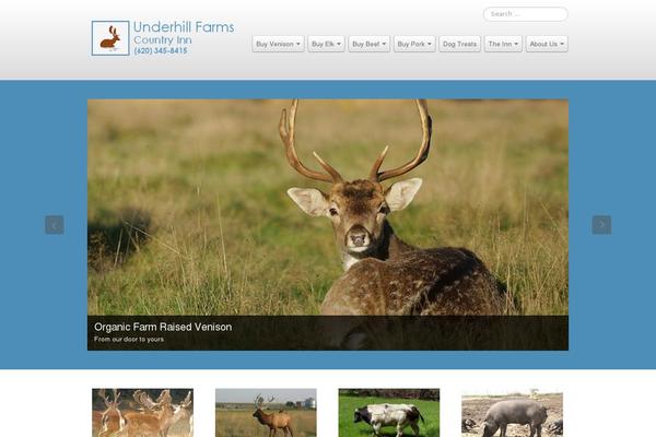 Business Pro 4 theme site design template sample