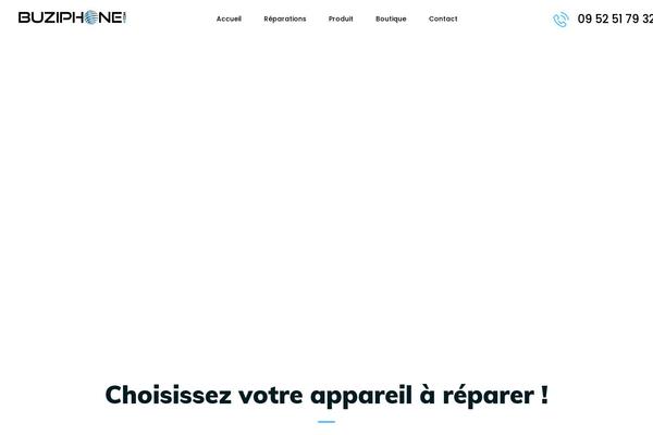 buziphone.com site used FixTeam