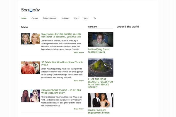 buzz29.com site used Frontpage