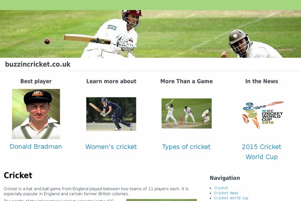 buzzincricket.co.uk site used Almasi